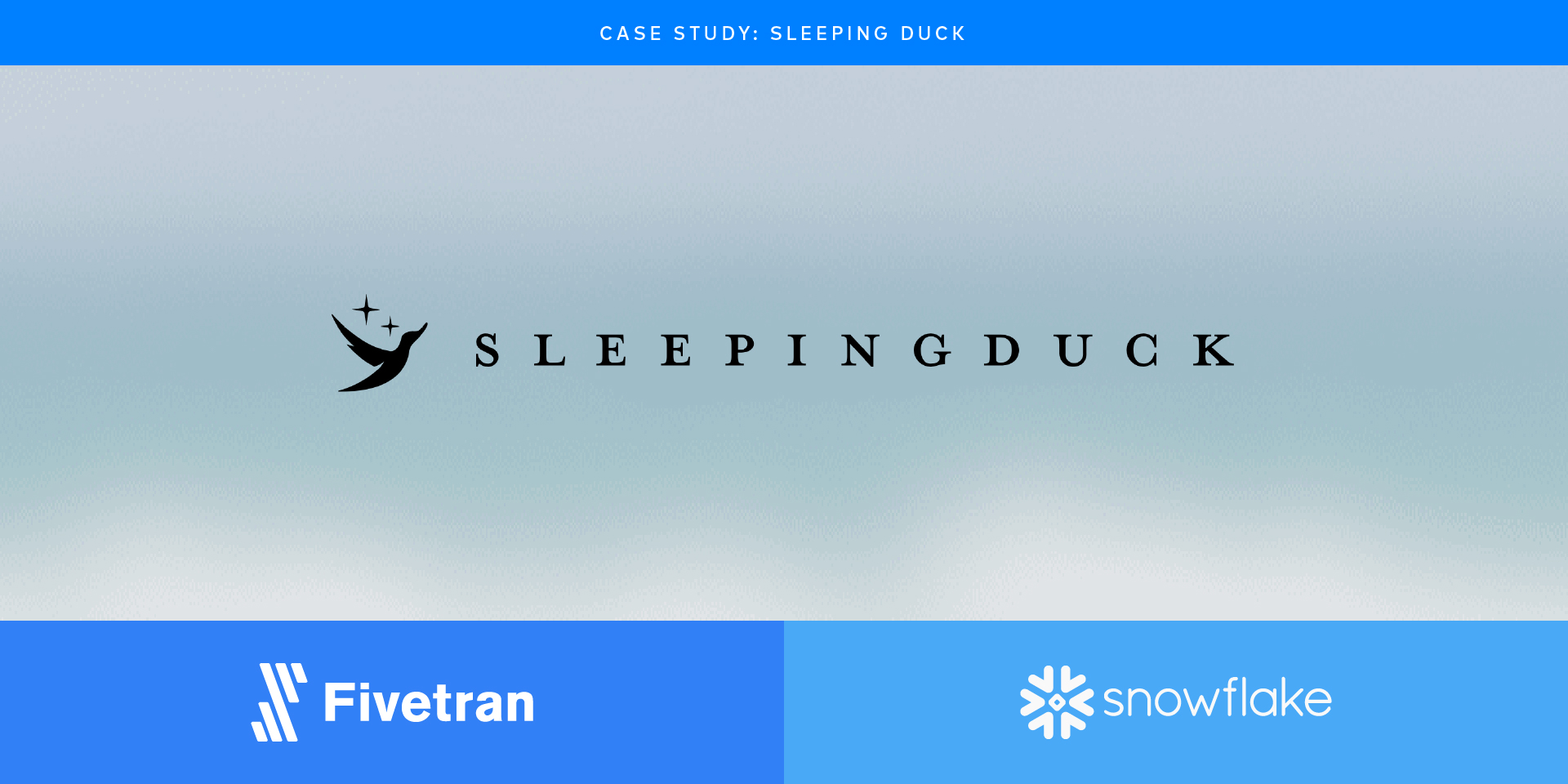 Fivetran and Snowflake enable data-driven decision making for Sleeping Duck