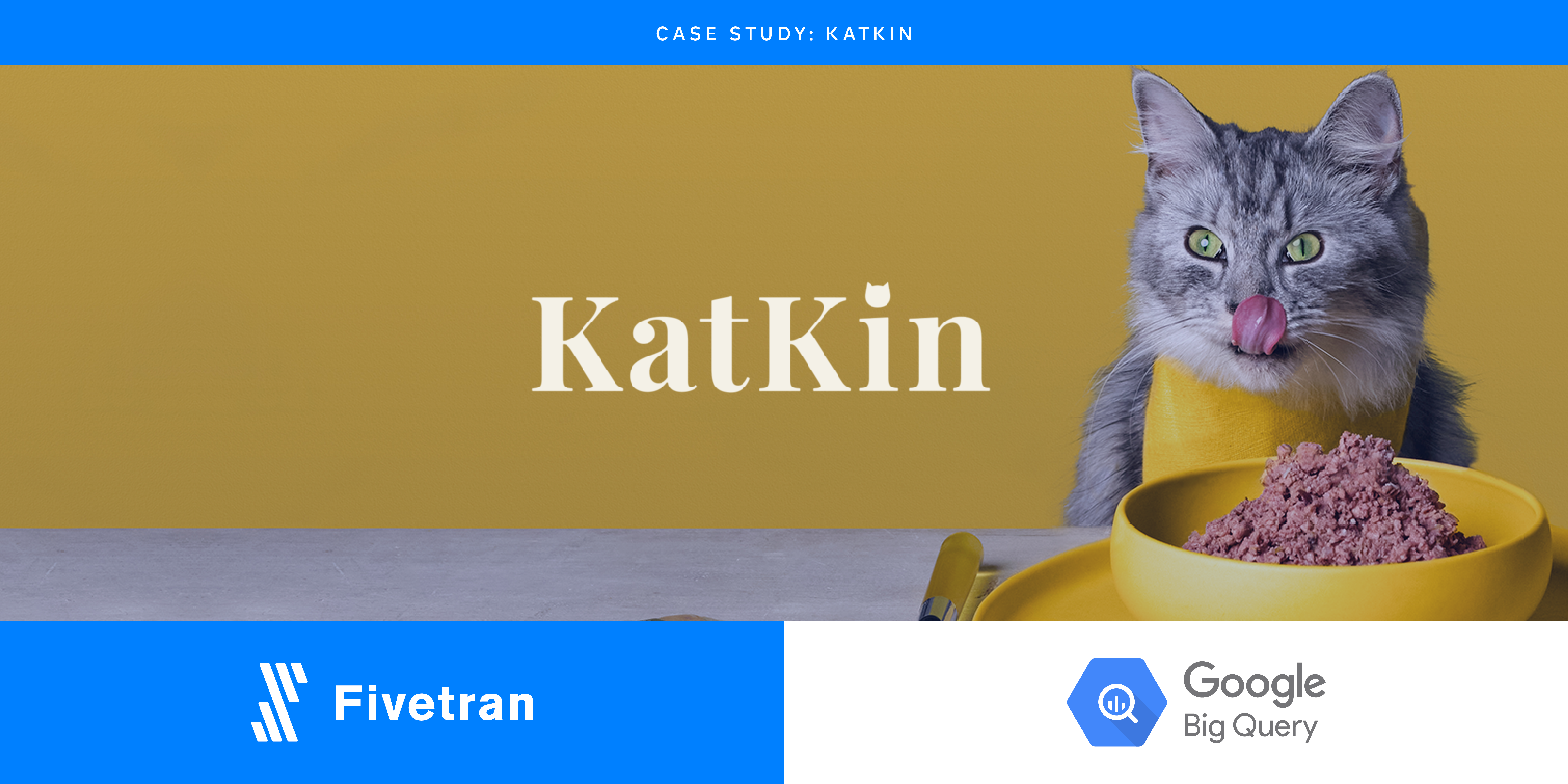 Fivetran Feeds Katkin Data to Grow Quality Cat Food Business
