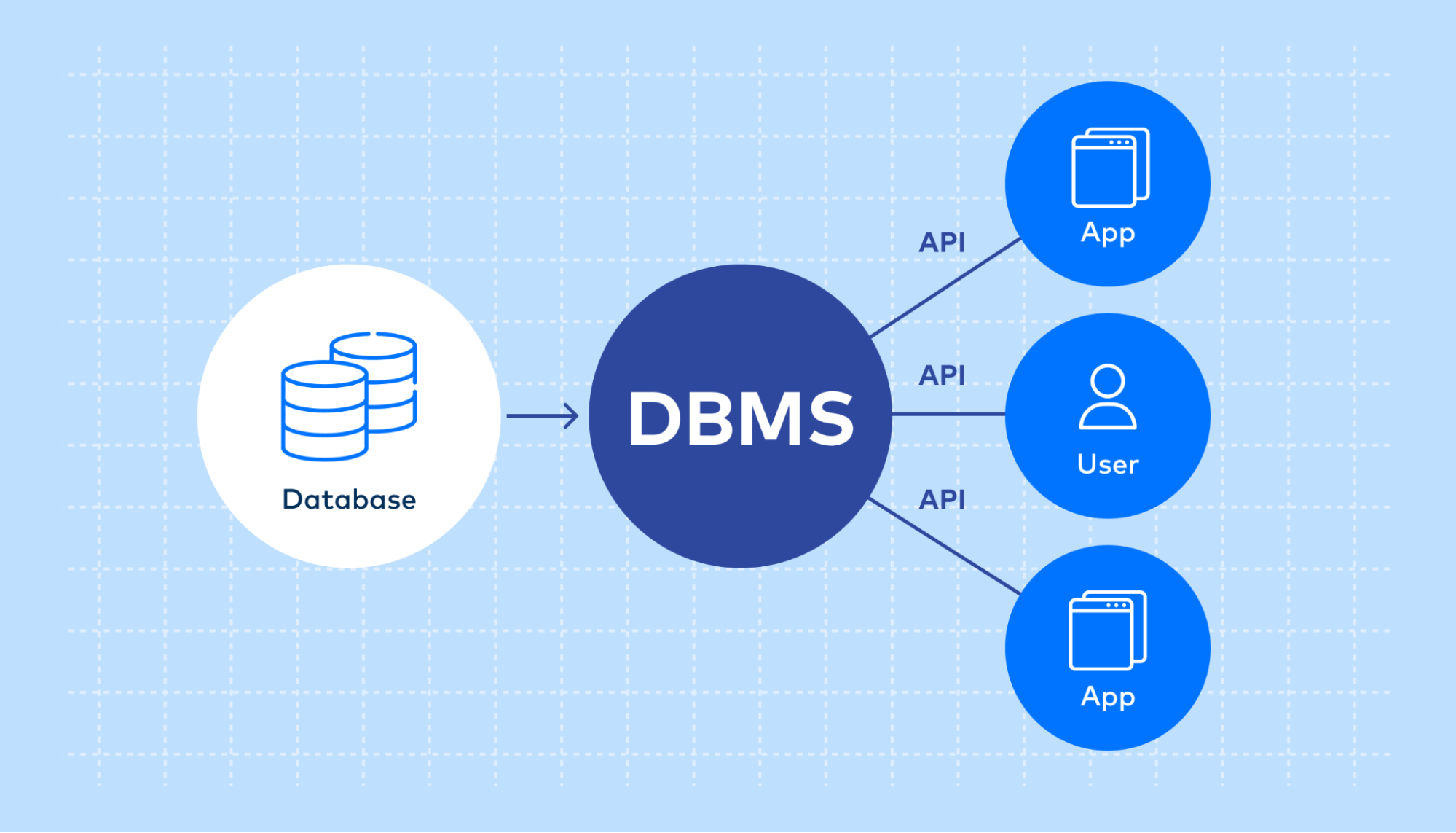 What is a database management system?